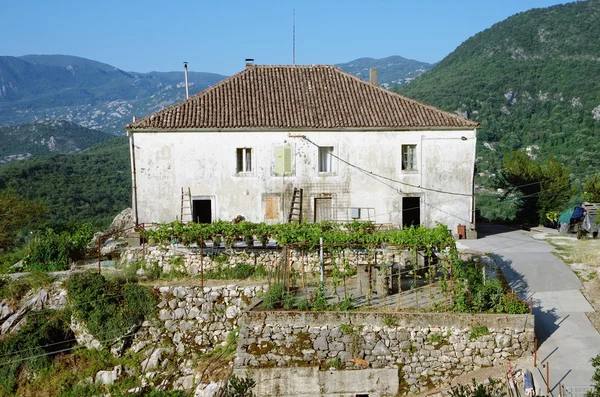 Casa de campo na colina, Montenegro — Fotografia de Stock