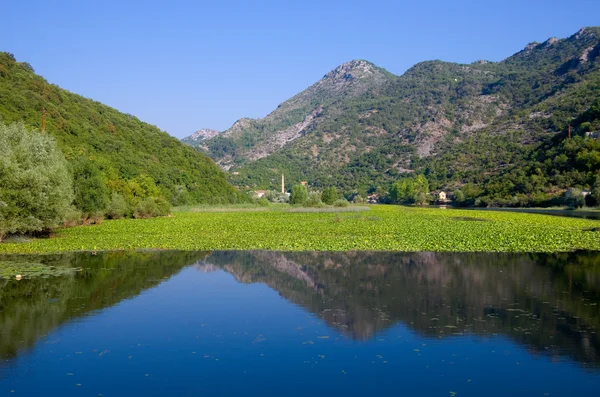 Rio Crnojevica no Parque Nacional Lake Skadar, Montenegro — Fotografia de Stock