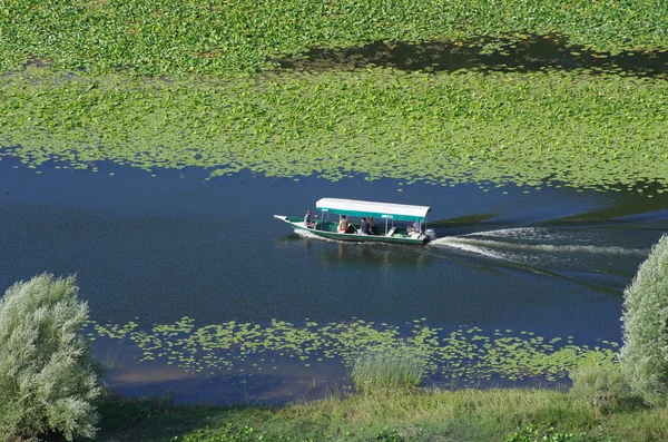 Лодки на реке Црноевица, национальный парк Скадарское озеро, Мо — стоковое фото
