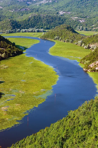 Crnojevica rivier en Lake Đurađ Nationaal Park, Montenegro — Stockfoto