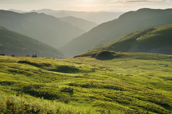 Pôr do sol no Parque Nacional "Biogradska Gora", Montenegro — Fotografia de Stock