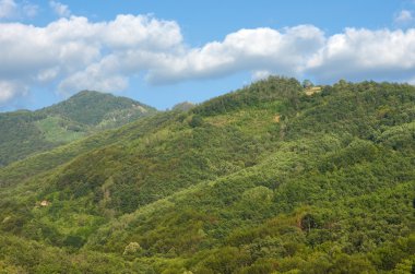 Woodland Güney Sırbistan'daki 