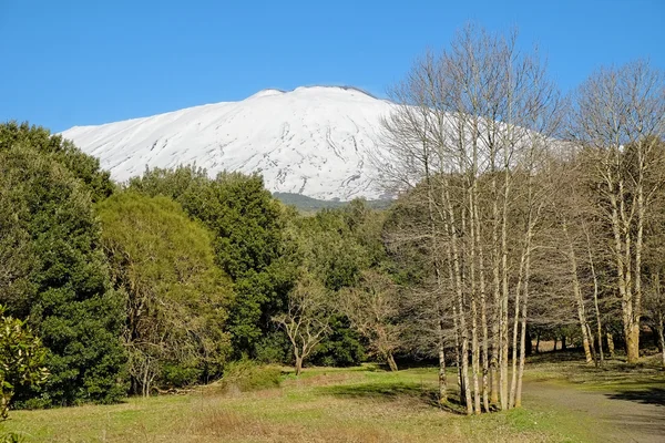 Etna nevada en el Parque Nacional, Sicilia — Foto de Stock