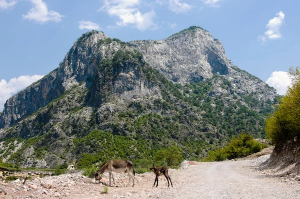 Albanian Mountains — Stock Photo, Image