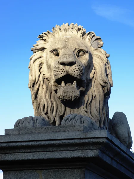 Oroszlán-Lánchíd, Budapest — Stock Fotó