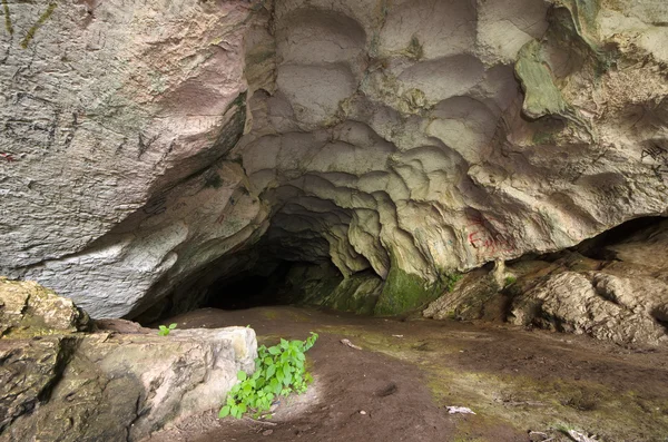 Pellumbas grot, Albanië — Stockfoto