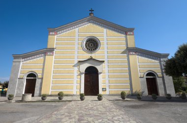 İşkodra Katedrali