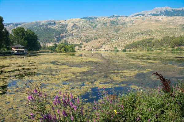 Viroit-tó Gjirokaster, Albánia — Stock Fotó