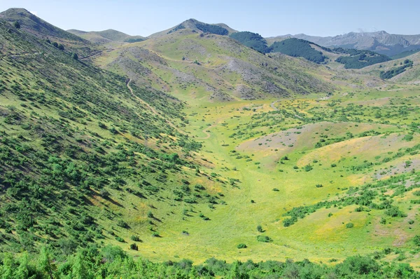 Mavrovo National Park, Makedonien — Stockfoto