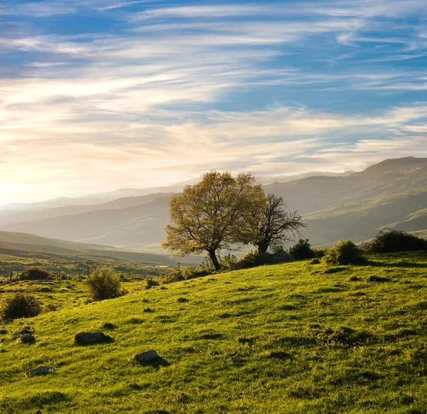 Paesaggio di campagna in un tramonto primaverile — Foto Stock