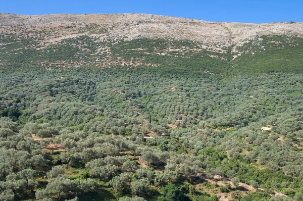 Paysage rural du sud de l'Albanie — Photo