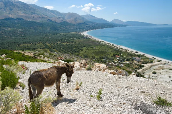 Costa Jónica de Albania — Foto de Stock
