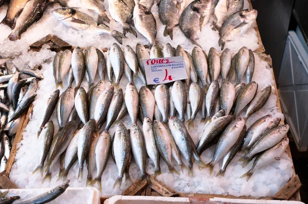 Färsk fisk på is — Stockfoto