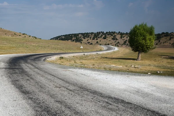 Winding Road And Lone Tree — Stock Photo, Image