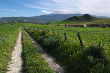 Sicilya Road Haç tarım arazisi 