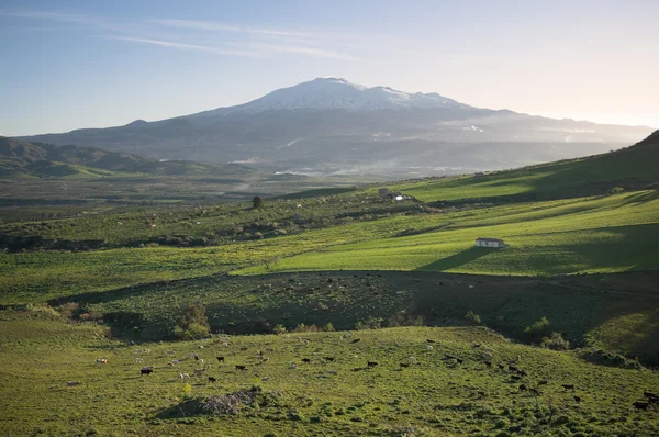 Paesaggio rurale e vulcano Etna — Foto Stock