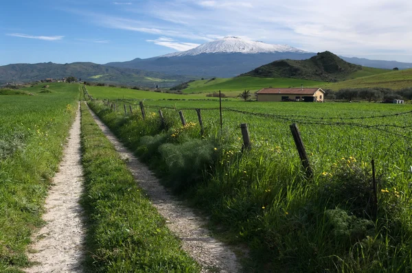 Road Crosses Farmland Na Sicília — Fotografia de Stock