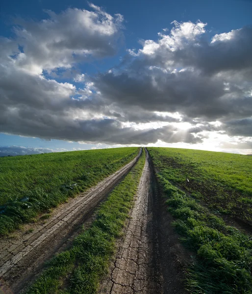 Dirt Road And Green Field At The Sunset — Stock Photo, Image