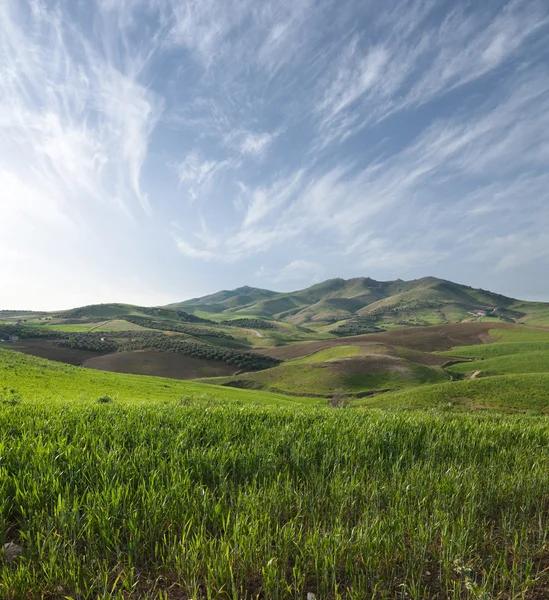 Collina pascolo e paesaggio nuvoloso — Foto Stock