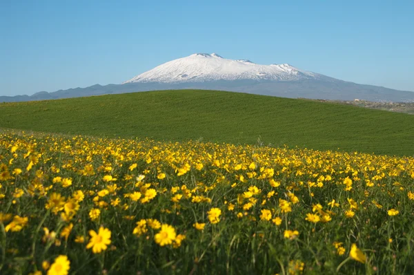 Paisagem da mola e montagem Etna — Fotografia de Stock