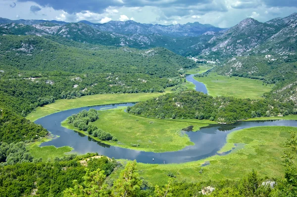 Річка в озеро Скадарського Національний парк, Чорногорія — стокове фото