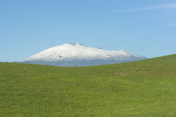 Зеленая трава и гора Этна — стоковое фото