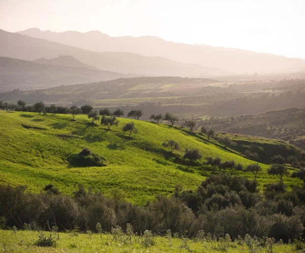 Terreno agricolo e catena montuosa nel crepuscolo nebbioso — Foto Stock