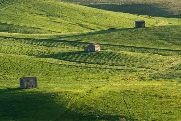 Fazenda em colinas rolantes — Fotografia de Stock