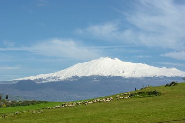 Flok ve volkan Etna arka planda