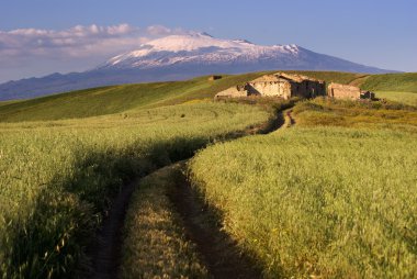 track cross cereal field on background Etna