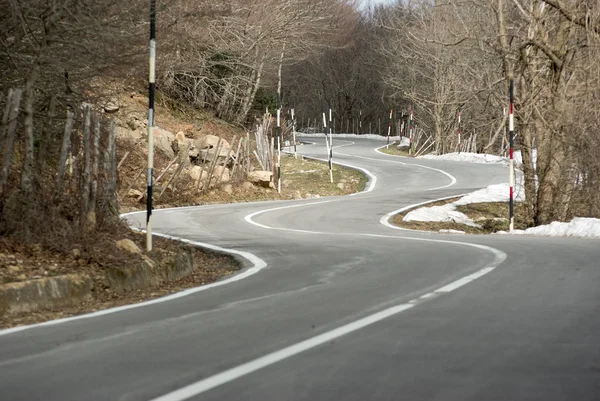 Road winding mountain crosses the wood — Stock Photo, Image