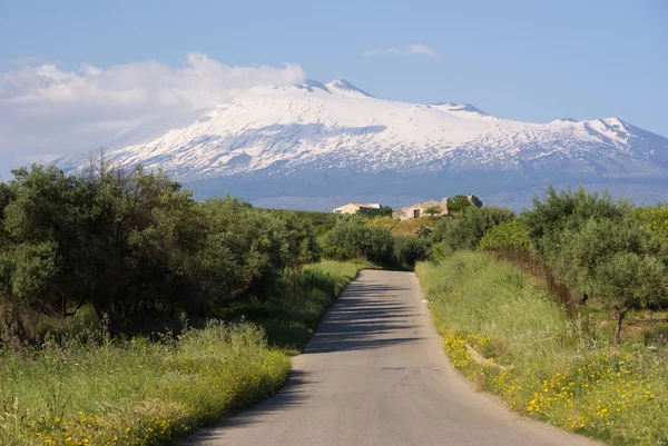 Rural Road And Volcano Etna — Stock Photo, Image