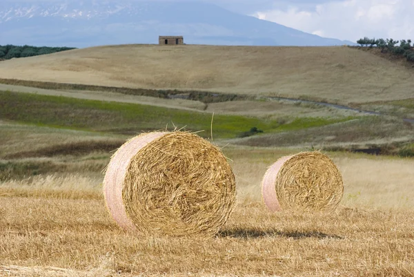 Два рулона сена на заднем плане сельских пейзажей размыты — стоковое фото