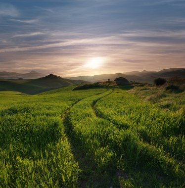 Tracks Crossing A Green Field In Misty Sunset   