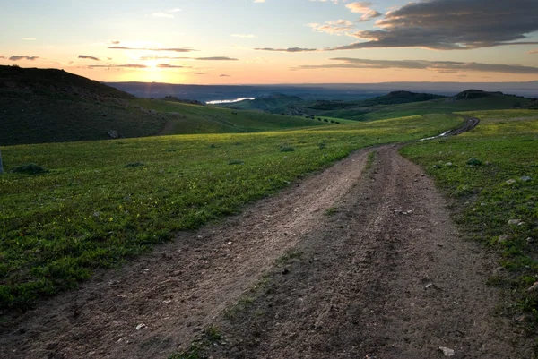 Track in grass to sunset — Stockfoto