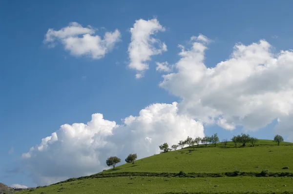 Colina verde com árvores e nuvens brancas — Fotografia de Stock