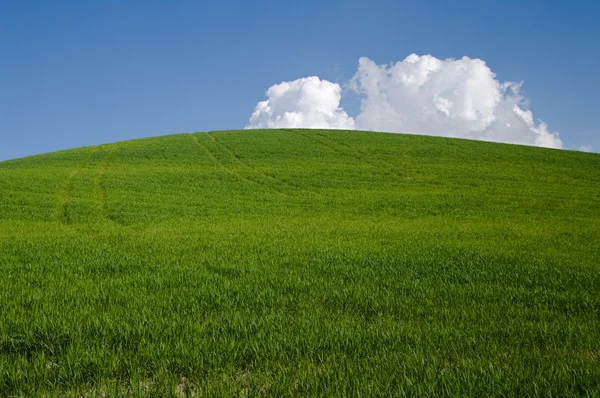 Colina verde com nuvens brancas — Fotografia de Stock