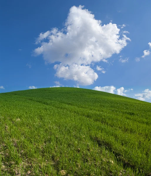 Green hill with white clouds — Stock fotografie