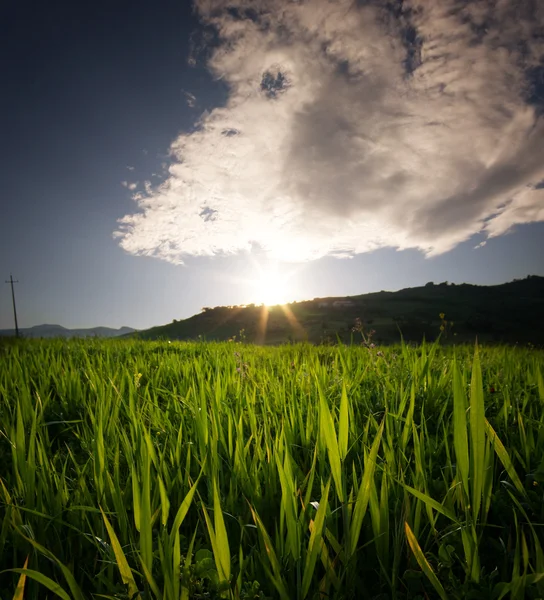 The sun sets on cultivated field — Stock fotografie