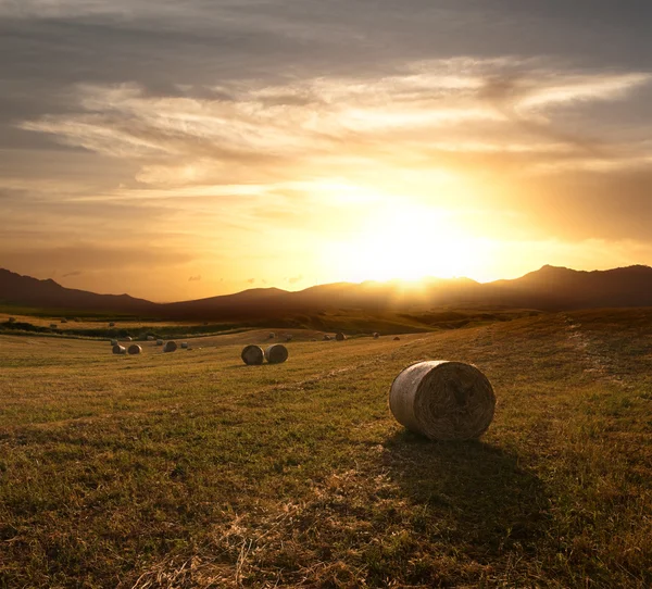 Rolls Of Hay At The Sunset — Stock Photo, Image