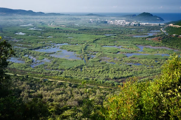 Humedales — Foto de Stock