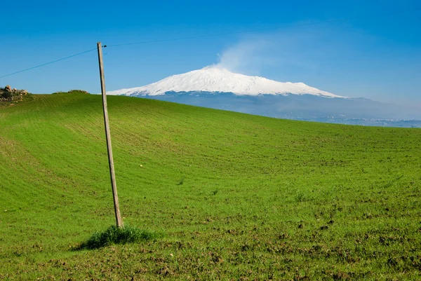 Eine grüne Wiese vor dem Hintergrund des Vulkans Ätna — Stockfoto