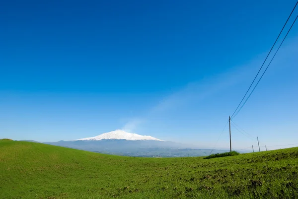 A green meadow on background of volcano Etna — Stock Photo, Image