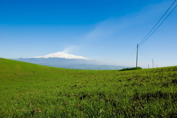 背景の火山エトナ山に緑の草原 — ストック写真