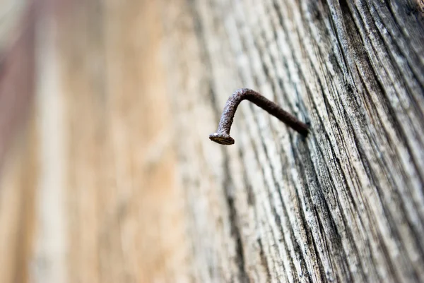 Panneau de bois avec vieux clou rouillé — Photo