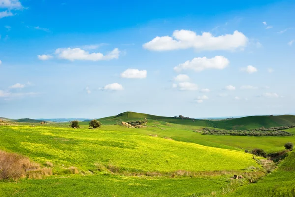 Холмистый пейзаж с деревьями, желтой травой и белыми облаками — стоковое фото
