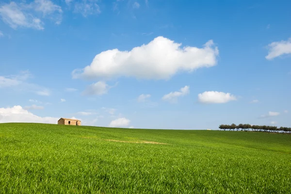 Landschaft für ein Feld mit Bauernhof — Stockfoto