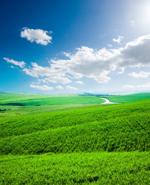 Vlna hill vztahuje zelená louka — Stock fotografie