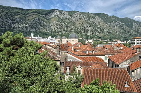 Kotor eski şehir, Karadağ — Stok fotoğraf