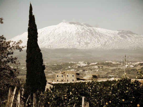 Paisaje vintage con ciprés y antigua granja en el fondo v —  Fotos de Stock